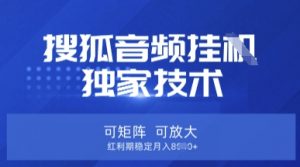 【搜狐音频挂G】独家技术，可矩阵可放大，红利期稳定月入8k【揭秘】-沐风资源库