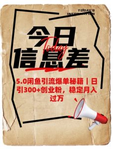 5.0闲鱼引流爆单秘籍，日引300+创业粉，稳定月入过W-沐风资源库