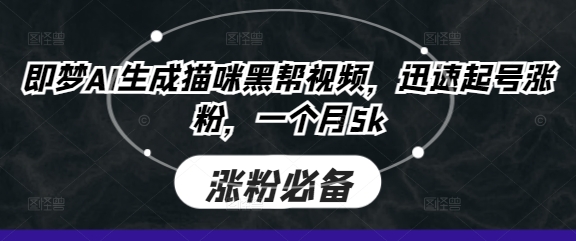 即梦AI生成猫咪黑帮视频，迅速起号涨粉，一个月5k-沐风资源库