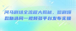 河马剧场全流程大揭秘，短剧爆款精选同一视频多平台发布实操-沐风资源库