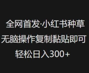 全网首发，小红书种草无脑操作，复制黏贴即可，轻松日入3张-沐风资源库