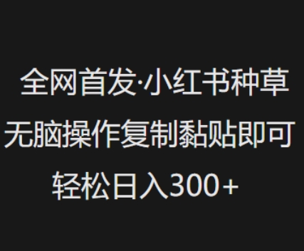 全网首发,小红书种草无脑操作,复制黏贴即可,轻松日入3张-沐风资源库