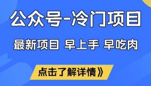 公众号冷门赛道，早上手早吃肉，单月轻松稳定变现1W【揭秘】-沐风资源库