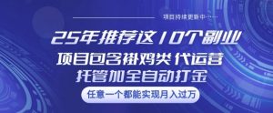 25年推荐这10个副业项目包含褂鸡类、代运营托管类、全自动打金类【揭秘】-沐风资源库