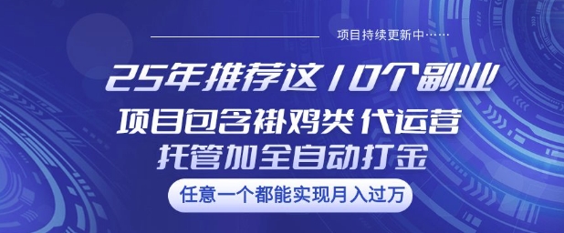 25年推荐这10个副业项目包含褂鸡类、代运营托管类、全自动打金类【揭秘】-沐风资源库