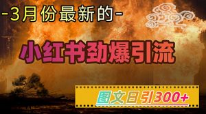 小红书超劲爆引流手段，图文日引300+轻松变现1W-沐风资源库