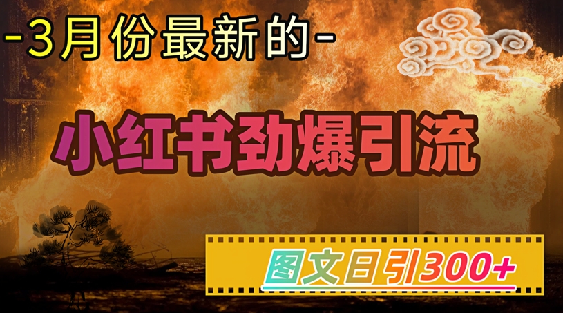 小红书超劲爆引流手段，图文日引300+轻松变现1W-沐风资源库