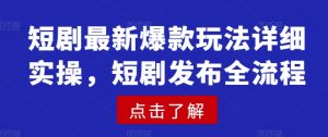 短剧最新爆款玩法详细实操，短剧发布全流程-沐风资源库