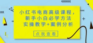 小红书电商高级课程，新手小白必学方法，实操教学+案例分析-沐风资源库