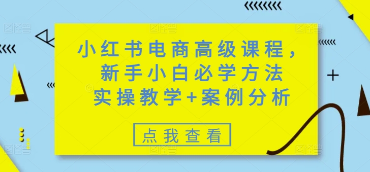 小红书电商高级课程,新手小白必学方法,实操教学+案例分析-沐风资源库