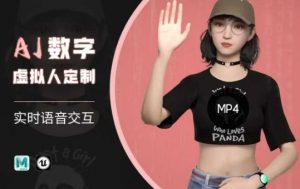 Ai数字人虚拟(智能体)实时语音交互特训营,自行定制超写实角色AI数字人交互技术-沐风资源库