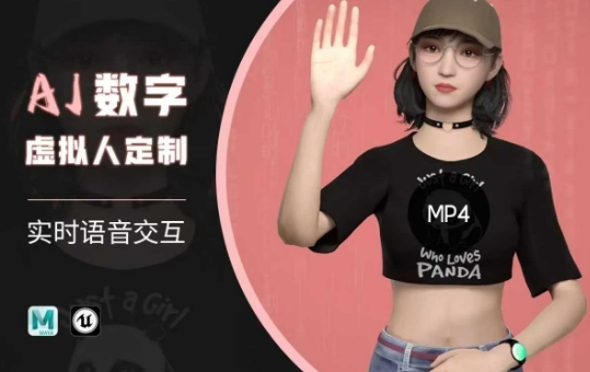 Ai数字人虚拟(智能体)实时语音交互特训营,自行定制超写实角色AI数字人交互技术-沐风资源库