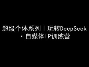超级个体系列，玩转DeepSeek·自媒体IP训练营，deepseek教程-沐风资源库