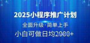 2025小程序推广计划，全面升级，简单上手，日均多张【揭秘】-沐风资源库