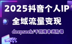 2025抖音个人IP全域流量变现进阶课，deepseek千川爆单进阶课-沐风资源库