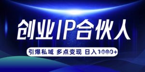 云帆·创业ip合伙人打造3.0，从0到1教你做网创，实现月入过W-沐风资源库