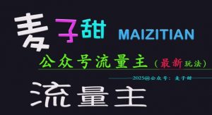 麦子甜2025公众号流量主全网最新玩法核心，手把手教学，成熟稳定，收益有保障-沐风资源库