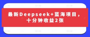 最新Deepseek+蓝海项目，十分钟收益2张-沐风资源库