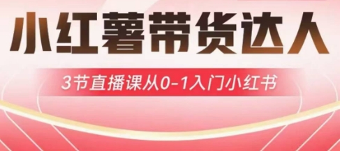 小红薯达人带货启航计划，3节直播课从0-1入门小红书-沐风资源库