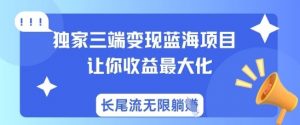 独家三端变现蓝海项目，让你收益最大化，长尾流无限躺挣-沐风资源库