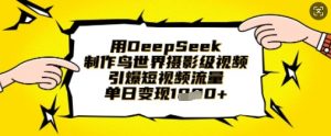 用DeepSeek制作鸟世界摄影级视频，引爆短视频流量，单日变现1k-沐风资源库