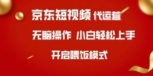 京东短视频代运营，全程喂饭，小白轻松上手【揭秘】-沐风资源库