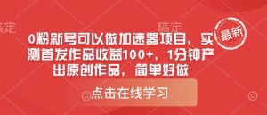 0粉新号可以做的加速器项目，实测首发作品收益100+，1分钟产出原创作品，简单好做-沐风资源库