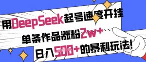 用DeepSeek起号速度开挂,单条作品涨粉2w+,日入5张+的暴利玩法-沐风资源库