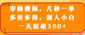 审核视频，几秒一单，多劳多得，新人小白一天轻松3张【揭秘】-沐风资源库