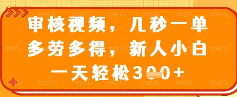 审核视频，几秒一单，多劳多得，新人小白一天轻松3张【揭秘】-沐风资源库