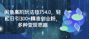 闲鱼高阶玩法技巧4.0，轻松日引300+精准创业粉，多种变现思路-沐风资源库