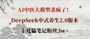 AI中医大模型杀疯了!DeepSeek中式养生2.0版本,十几篇笔记粉丝3w+-沐风资源库