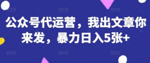 公众号代运营，我出文章你来发，暴力日入5张+【揭秘】-沐风资源库