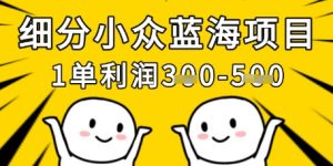 细分小众蓝海项目，一单利润3张，每月收入稳定过1w+-沐风资源库