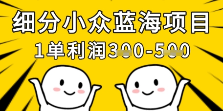 细分小众蓝海项目，一单利润3张，每月收入稳定过1w+-沐风资源库