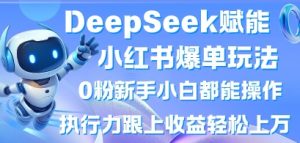 DeepSeek赋能小红书爆单玩法0粉新手小白都能操作，执行力跟上收益轻松上W，懒人勿做-沐风资源库