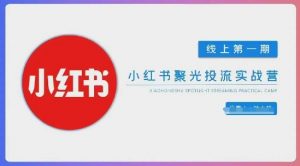 小红书聚光陪跑第一期，教你从0到1玩转小红书聚光投流，搭建小红书付费投流团队，更快的见到效果-沐风资源库