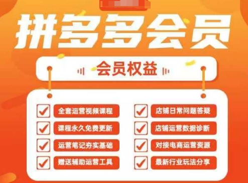 2025拼多多运营实战课，40节全流程教学，覆盖拼多多运营全链路-沐风资源库