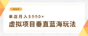 虚拟项目垂直玩法，实现单店月入5k+-沐风资源库