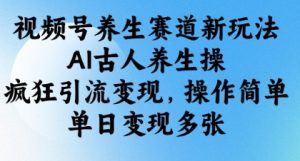 视频号养生赛道新玩法，AI古人养生操，疯狂引流变现，操作简单，单日变现多张-沐风资源库