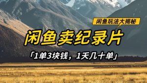 闲鱼卖纪录片1单3块钱，1天几十单，项目稳定有潜力-沐风资源库