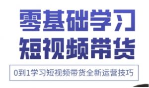 快手运营+高阶剪辑实战课，0到1学习短视频带货全新运营技巧-沐风资源库