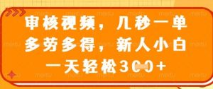最新审核视频，几秒一单，多劳多得，新人小白一天轻松3张【揭秘】-沐风资源库