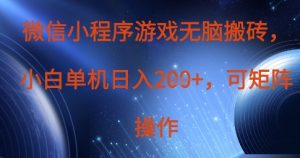 微信小程序游戏无脑搬砖，单设备日入2张+，可矩阵操作-沐风资源库