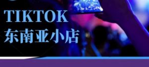 Tiktok东南亚跨境小店运营班，一门专业的TK小店运营培训课-沐风资源库