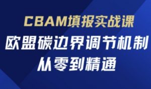 CBAM填报实战课，欧盟碳边界调节机制，从零到精通-沐风资源库