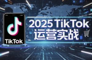 2025TikTok电商运营，掌握TikTok店铺运营核心技巧，实现低成本高转化-沐风资源库