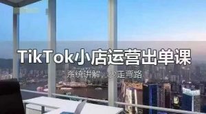 TikTok小店运营出单课，从开店选品、运营出单、发货回款，进行全流程讲解-沐风资源库