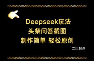 Deepseek头条问答截图，制作简单，轻松原创-沐风资源库