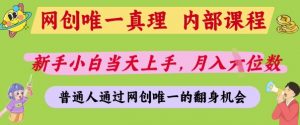 网创唯一真理，内部课程，新手小白当天上手，月入5位数，普通人通过网创唯一的机会【揭秘】-沐风资源库